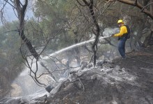 White Fire Started By ‘Escaping Embers’