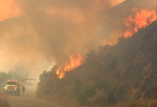 Los Padres Puts Fire Restrictions In Place