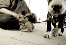 Hanging with Homeless Youth