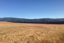 Grass Fire in Santa Ynez Valley