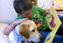 KDB Reports: Animals + Reading = Fun!