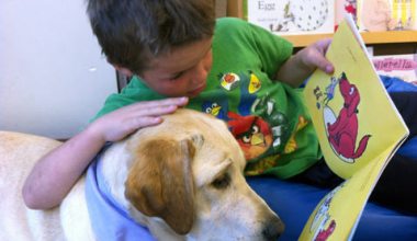 KDB Reports: Animals + Reading = Fun!