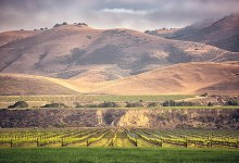 Santa Maria’s Riverbench Vineyard and Winery Heads into Santa Barbara’s Funk Zone