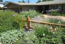 Winners Announced for WaterWise Garden Recognition Contest