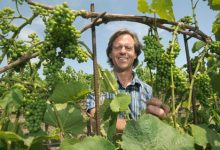 Bryan Babcock’s Farming Revolution