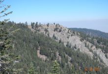 Mt. Pinos to Sawmill Peak