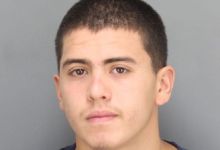 Two Arrested for Ortega Park Assault