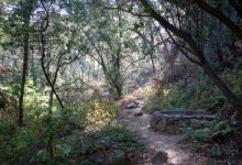 Rattlesnake Canyon Loop