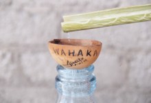 Not Just Another Blue Agave