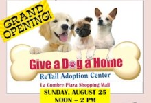 Please join us this SUNDAY, 8/25, noon – 2 pm for Hors d’oeuvres, drinks, and furry fun!