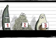 Who Decides What You Eat?