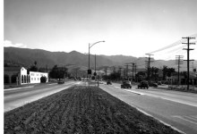 Ride on the Wild Side or Mild Side?