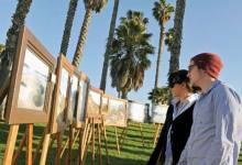 Sunday Art Show Suffers Not-So-Benign Neglect