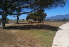 Wetland to Golf Course and Back