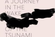 Review: Facing the Wave: A Journey in the Wake of the Tsunami 