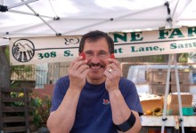 Lane Farms