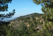 Boulder Canyon’s McGuire Spring (and Reyes Peak)