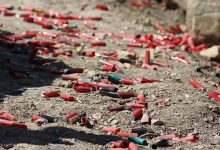 California Bans Lead Ammo