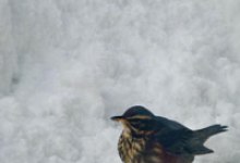 Interview: Author James Claffey