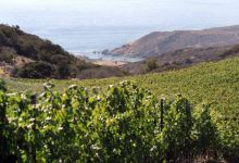 California’s Island Winery, Reborn