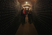 A Year in Champagne
