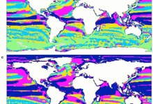 Where the Buffalo Roam in 2100