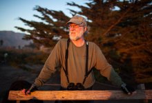 Scene in S.B.: Seals and Sonoma