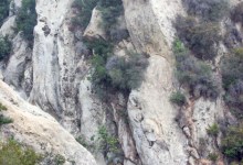 Six Exchange Students Rescued in Mission Canyon