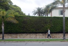 Let the Hedge Wars Begin