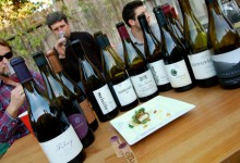 Getting to Know Cool-Climate Syrah