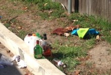 Have We Had Enough Deltopia Yet?