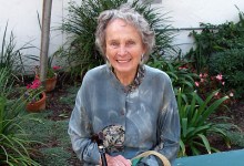 Mountain Drive Memories