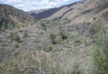 Manzana Day Hike to ‘Ray’s Camp’