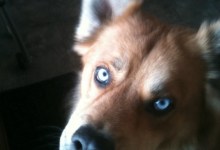 Dear Stormy: Rocket Worries About New Boyfriend