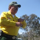 Joe Pasinato: 1950-2014