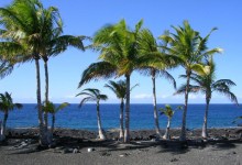 Rough Trade in Kona’s Reefs