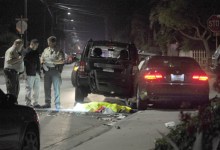 Temper Tantrum of the Early-Morning Dog