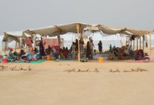 The Food Crisis in South Chad