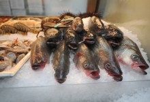 The Bait and Switch of Seafood Fraud