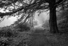 Review: Solace: The Photography of Joseph Donovan