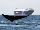 Ship Versus Whale in Santa Barbara Channel