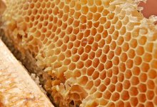 Event: Honey and Wine Tasting