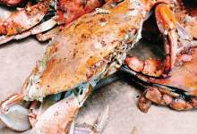 Hungry Cat Goes Crazy for Crabs