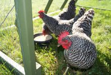 SBCC’s Center for Lifelong Learning