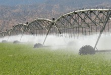 Cuyama Valley Drying Up
