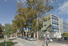 Trees Being Cut Down at UCSB