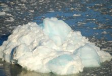 Icebergs to the Rescue