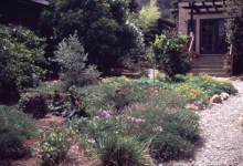 When It Rains,  Let’s Make Better Use of It