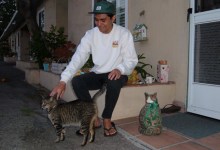 Get to Know swordthrume