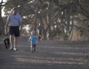 Vegetation Cleared from Douglas Preserve